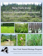 New York State Wetland Condition Assessment report cover.