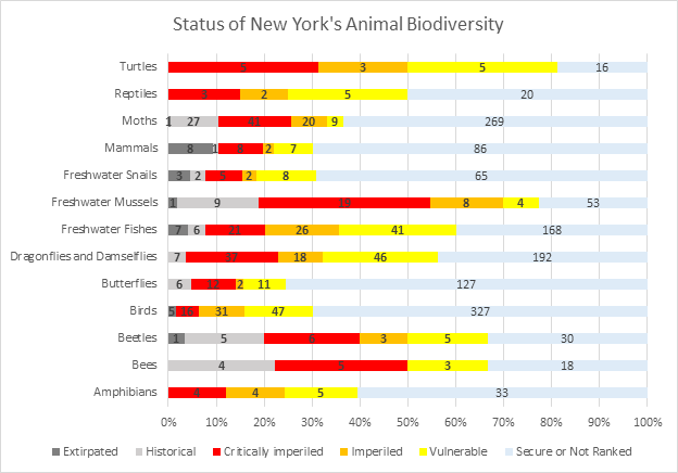 Status of New York's animal biodiversity.