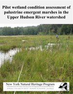 Pilot Wetland Condition Assessment of Palustrine Emergent Marshes in the Upper Hudson River Watershed report cover.