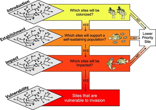 Fig 1. from M. Jake Vander Zanden and Julian D. Olden. A management framework for preventing the secondary spread of aquatic invasive species. Canadian Journal of Fisheries and Aquatic Sciences. 65(7): 1512-1522. https://doi.org/10.1139/F08-099. © Canadian Science Publishing or its licensors.