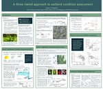 A Three-Tiered Approach to Wetland Condition Assessment poster image