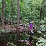 Wetland ecologist Laura Shappell surveying canopy cover within a vernal pool (Westchester County). Photo by Leah Nagel.