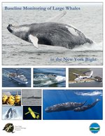 Baseline Monitoring of Large Whales in the New York Bight report cover.